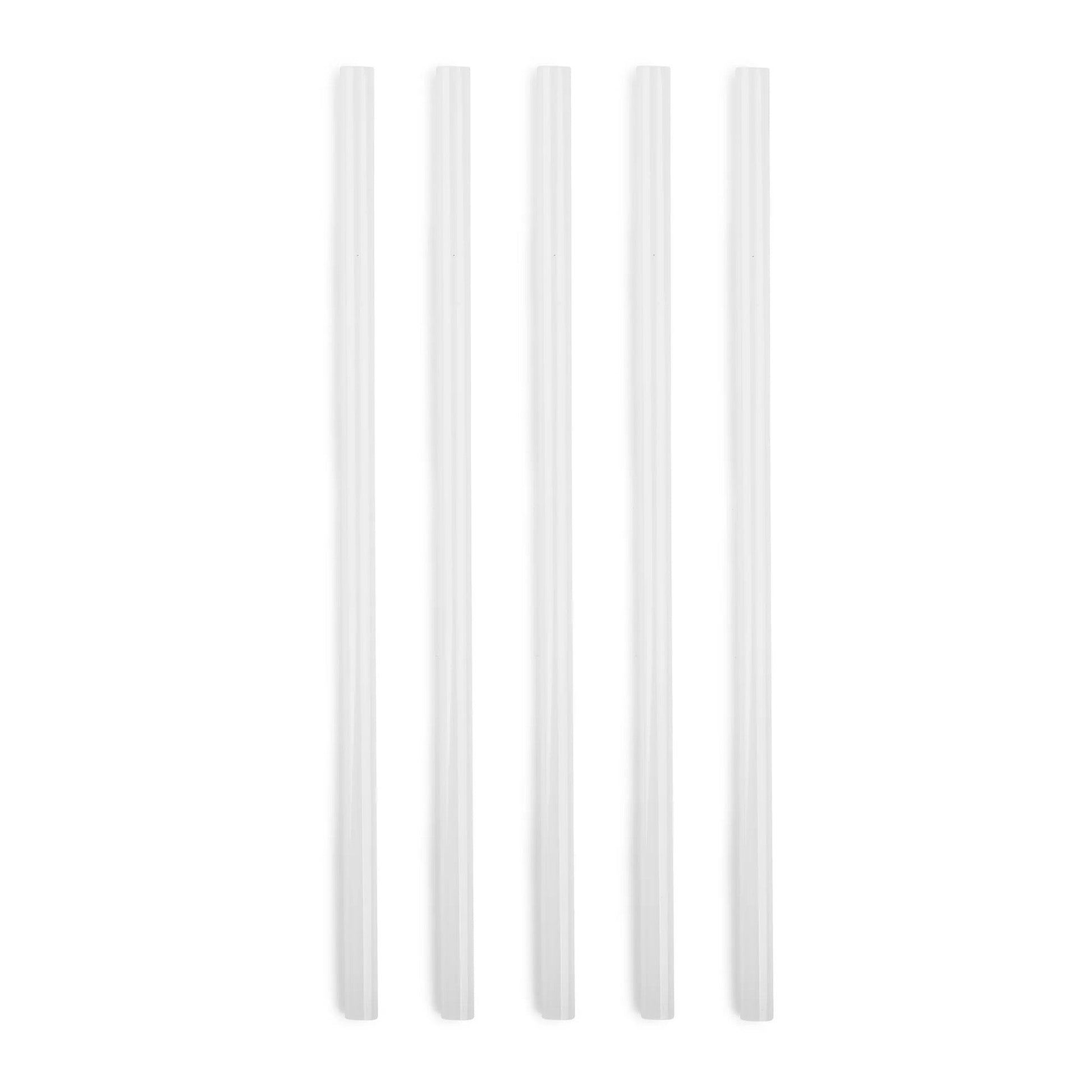 5-piece-replacement-straw-set-for-titan-3l-135-oz-r6 SPY2010_02.jpg